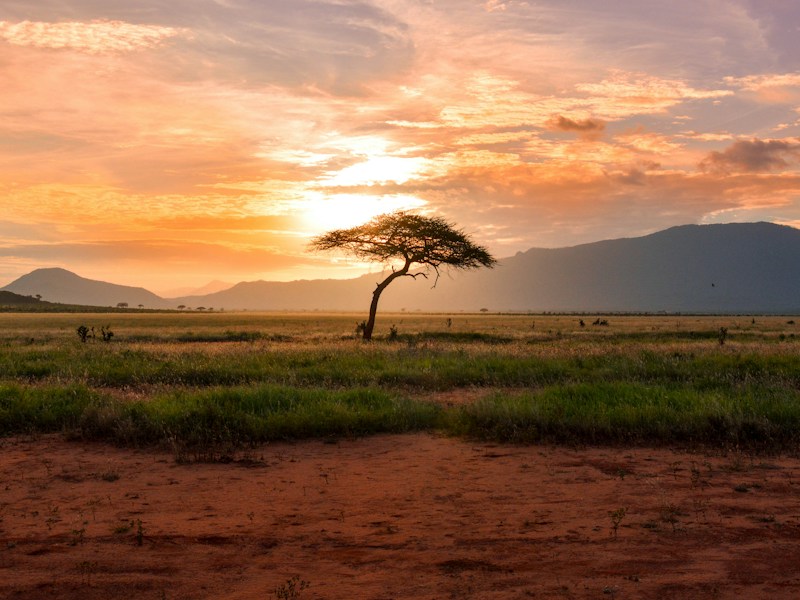 Safari Lodge near Maasai Mara - Thumbnail 3